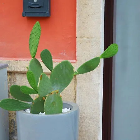 Apartament Domus Athena *