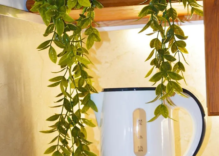 Domus Athena דירה *