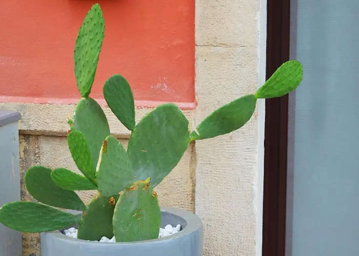 דירה Domus Athena *